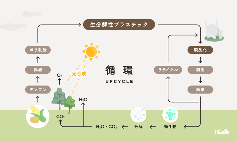 循環(UPCYCLE)