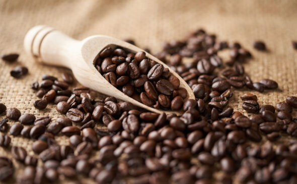 「コーヒーの豆かす素材」とは？食品廃棄物から多彩なグッズへ生まれ変わる万能素材で、サステナブルを実現