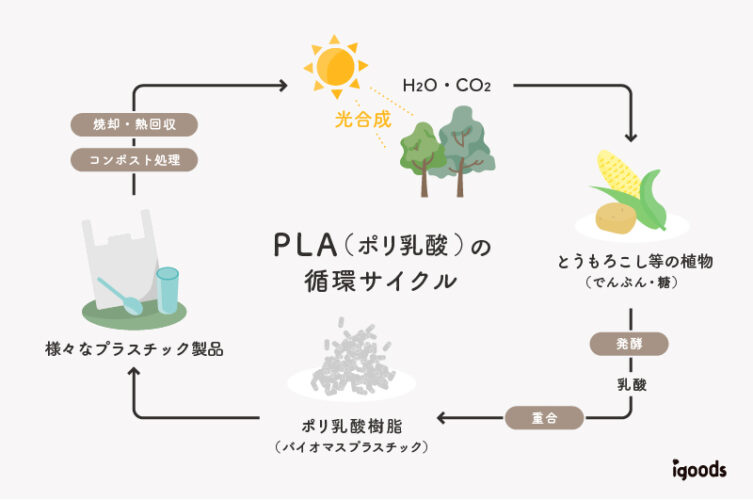 長崎県立大学 偏差値ランキング