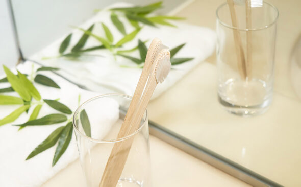 オーガニック 竹歯ブラシ（SUS organic ToothBrush）