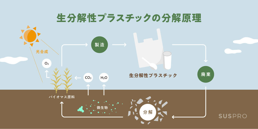 生分解性プラスチックの分解原理