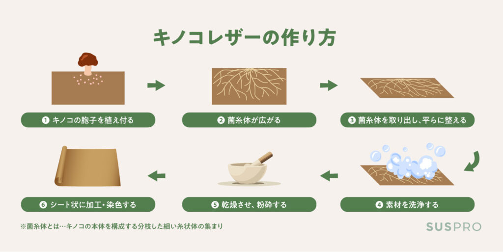 キノコレザー（マッシュルームレザー）の作り方